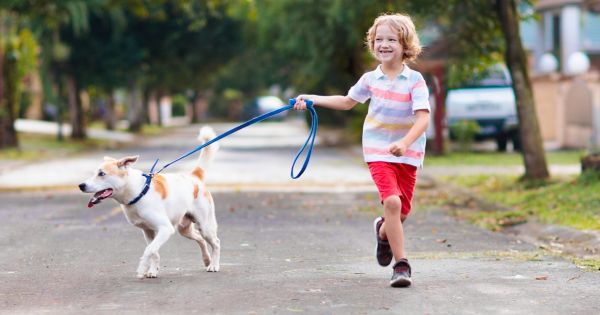 Child walking dog