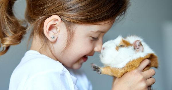 Girl and guinea pig