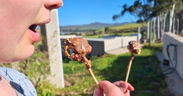 Cake pops