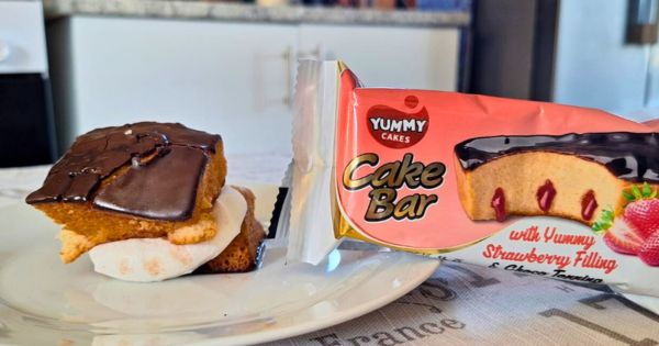 Microwave cake s'mores
